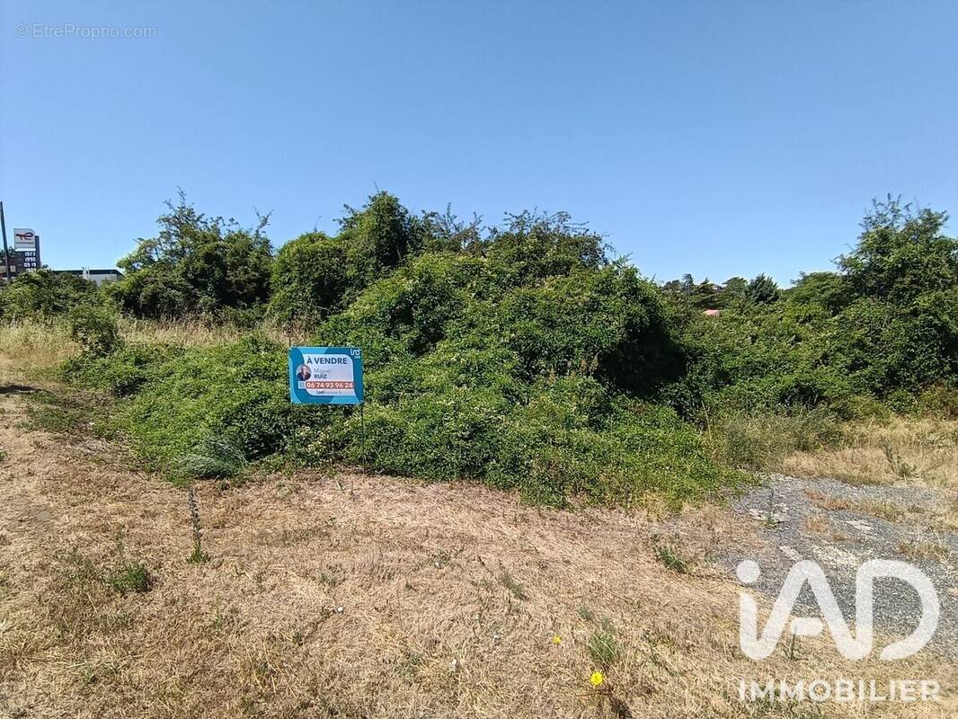 Photo 1 - Terrain à SAINT-JEAN-DE-THOUARS