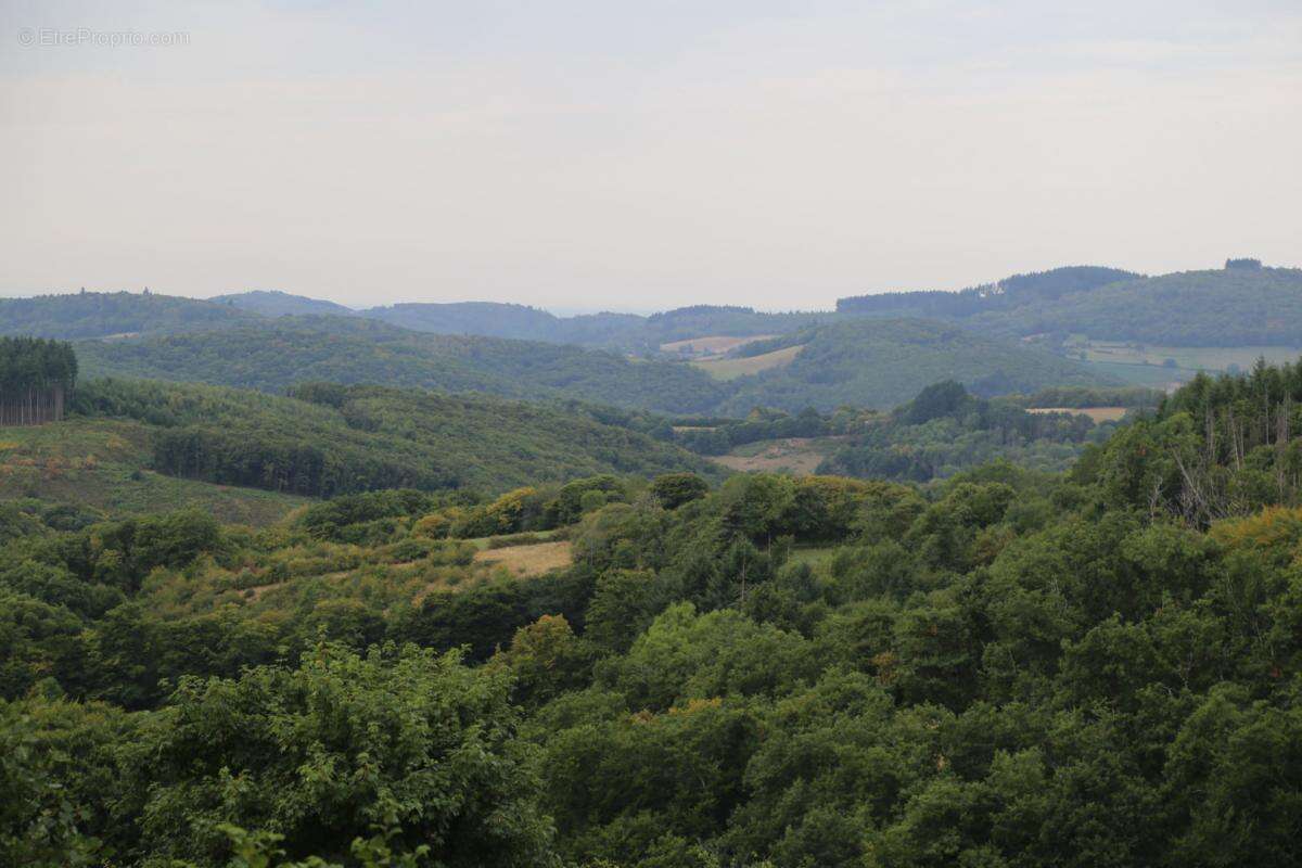 Pavillon sur sous-sol avec jolie vue dégagée - photo 5