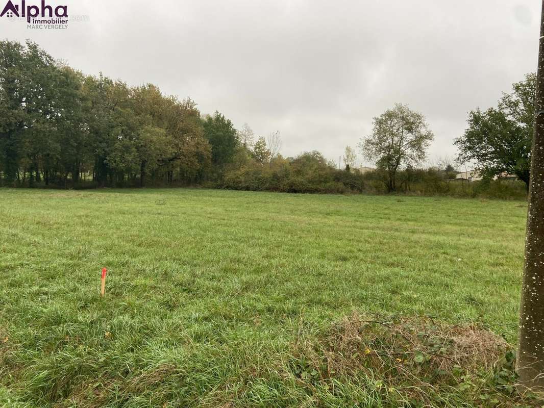 Terrain à SAINT-ETIENNE-DE-TULMONT