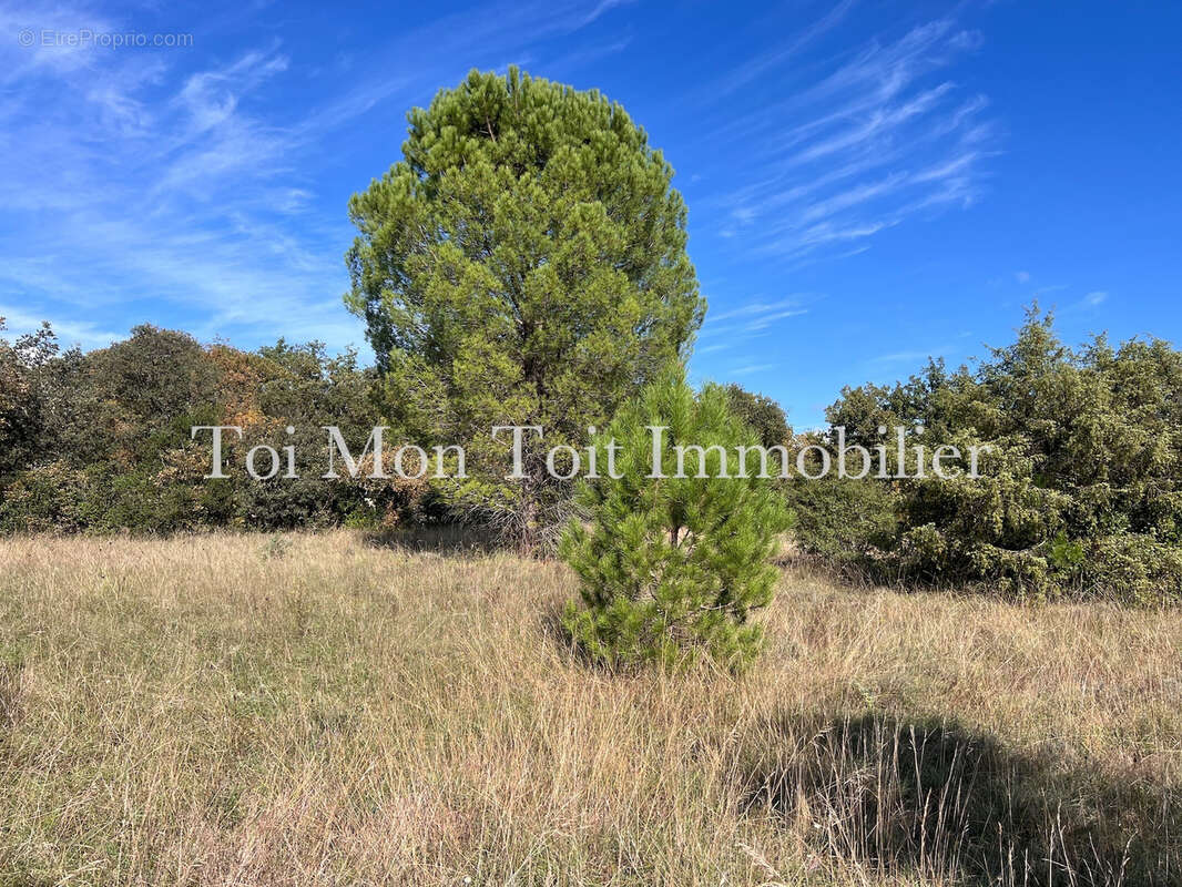 Terrain à SAUVE