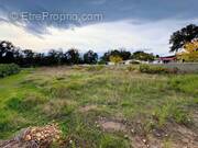 Terrain à GHISONACCIA