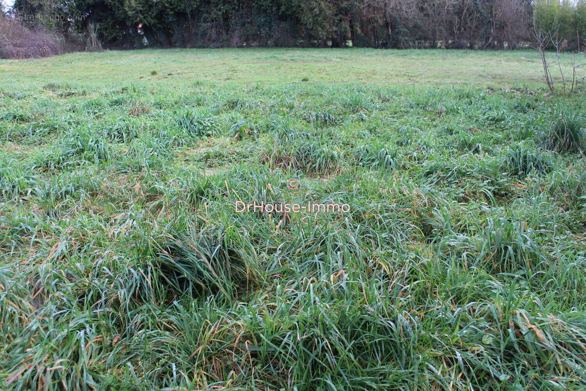 Terrain à LA COURONNE