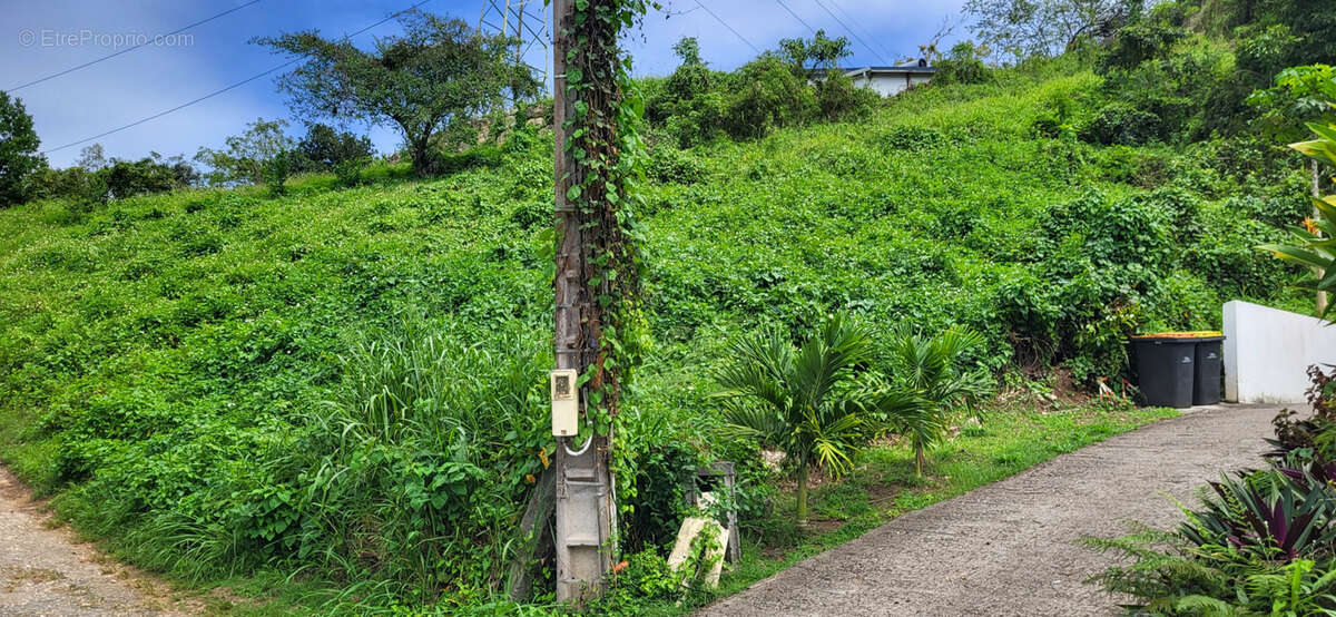Terrain à LES ABYMES