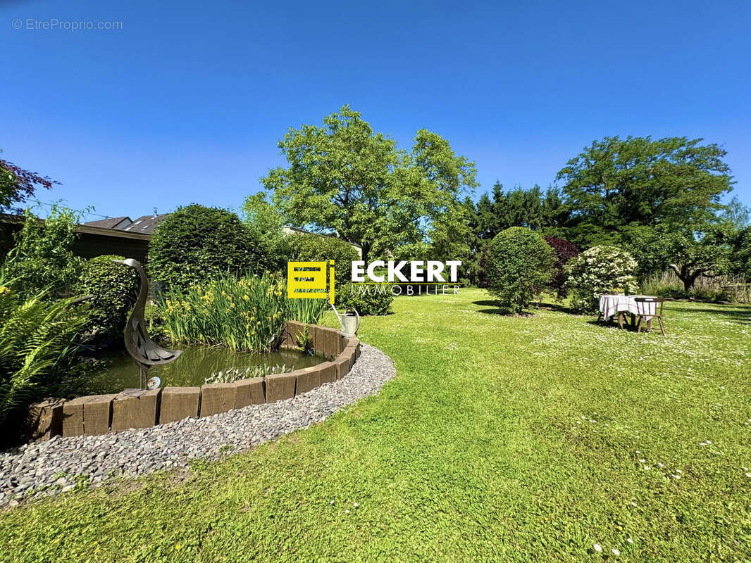 Terrain 1500 m² à Wolxheim  - photo 2