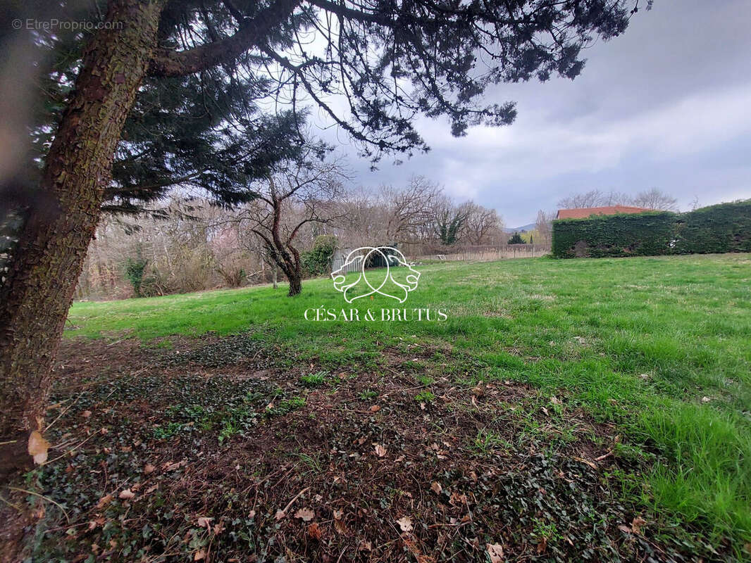 Terrain à MARCY-L'ETOILE