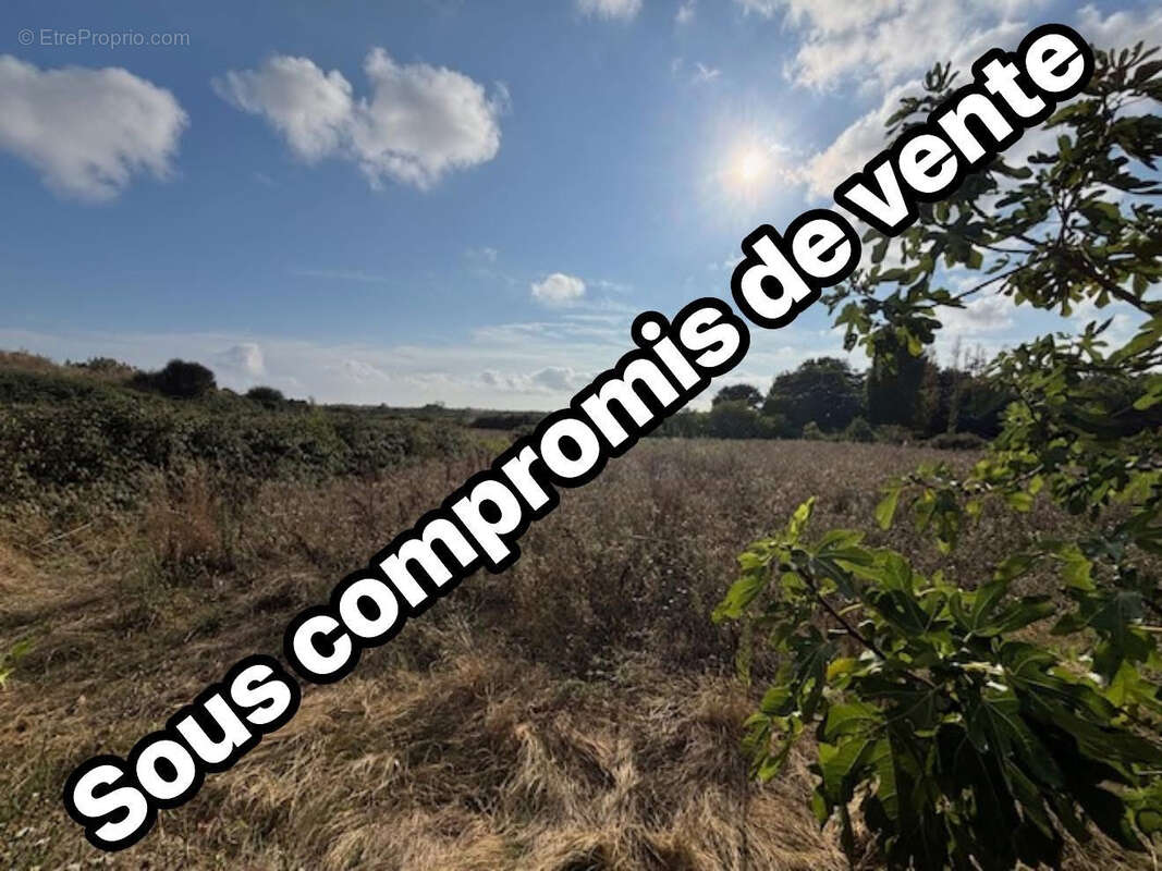 Terrain à TALMONT-SAINT-HILAIRE