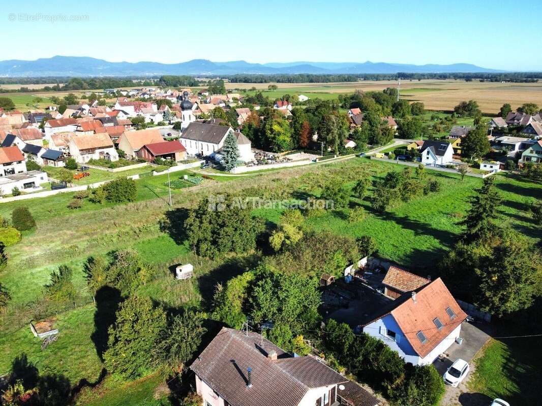 Terrain à GRUSSENHEIM