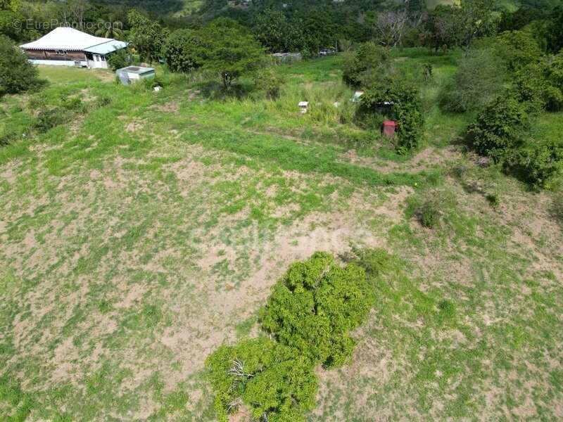 Terrain à LE CARBET