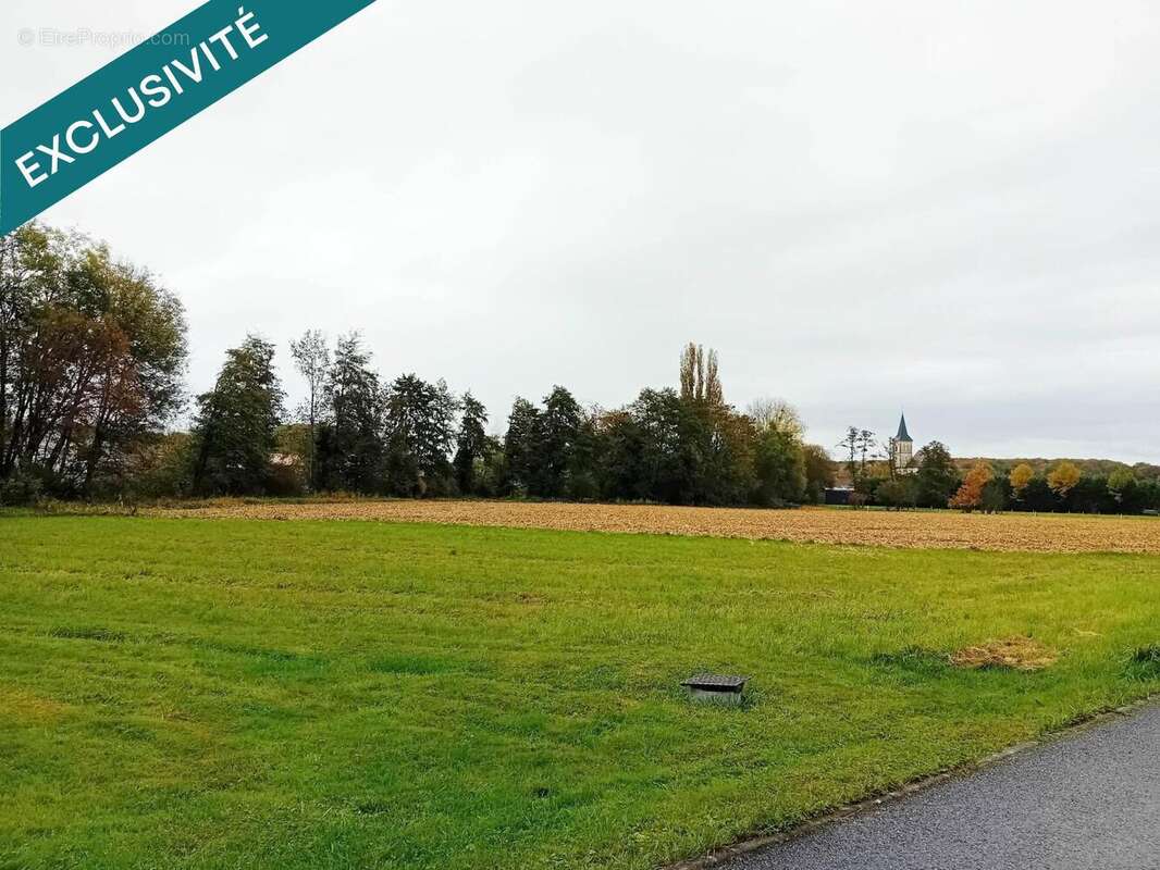 Terrain 1183 m² à Traubach-Le-Haut  - photo 2