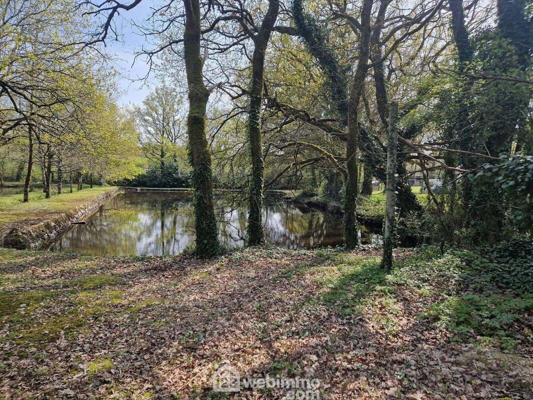 Terrain à VENANSAULT