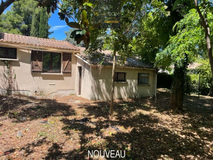 Maison à SAINT-ANDRE-DE-SANGONIS