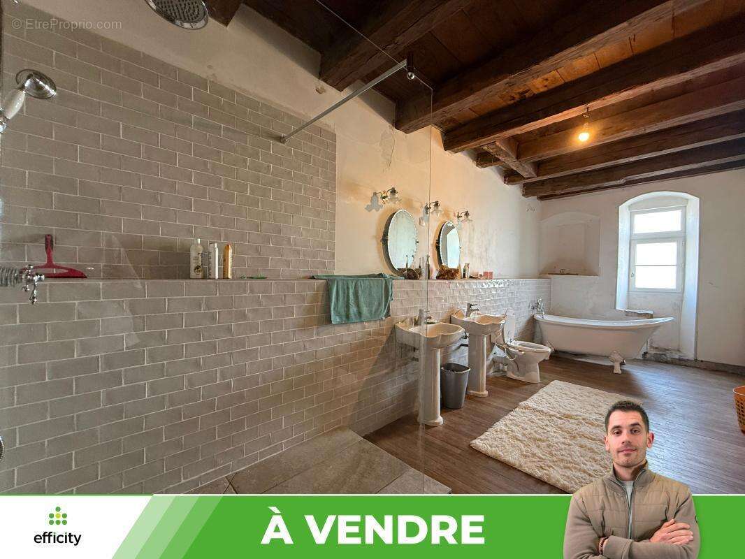 Maison 10 pièces 371 m² à vendre à Availles-Limouzine (86460) - photo 11