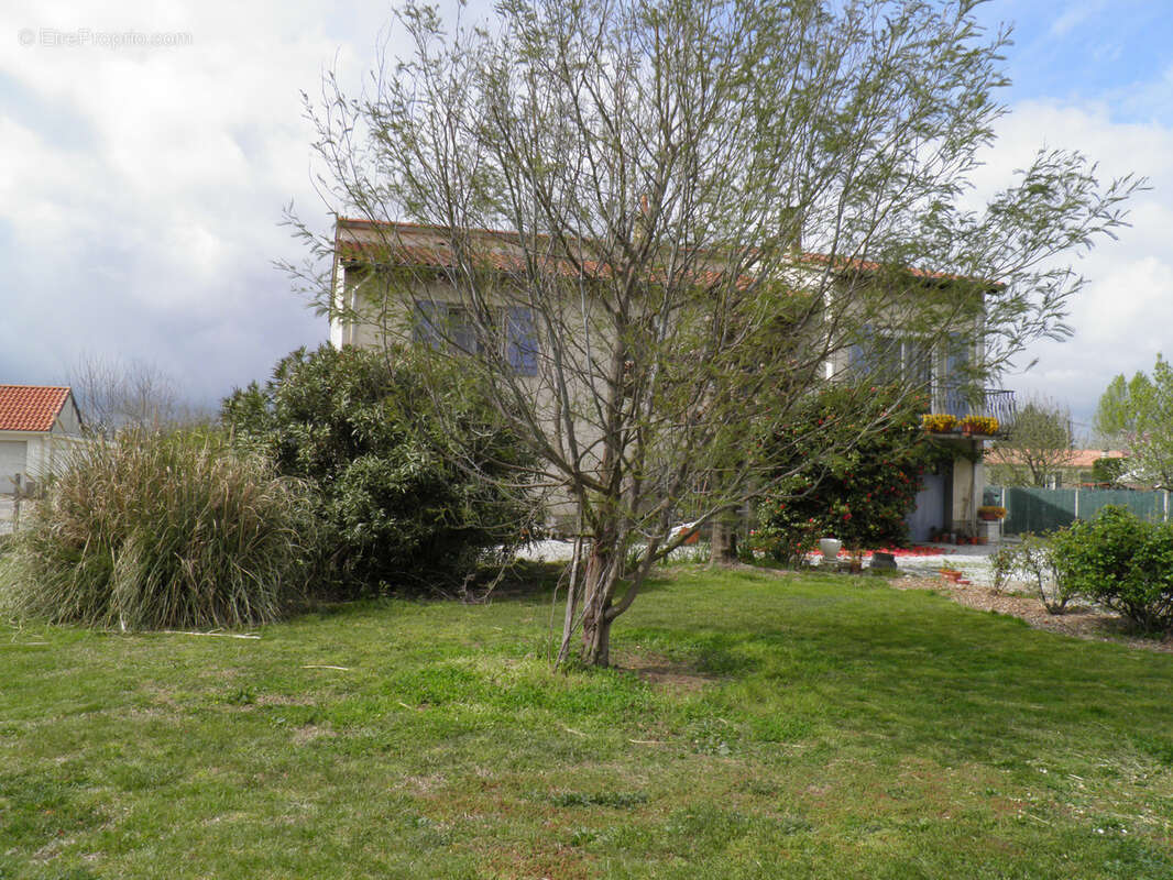 Maison à VIVIERS-LES-MONTAGNES