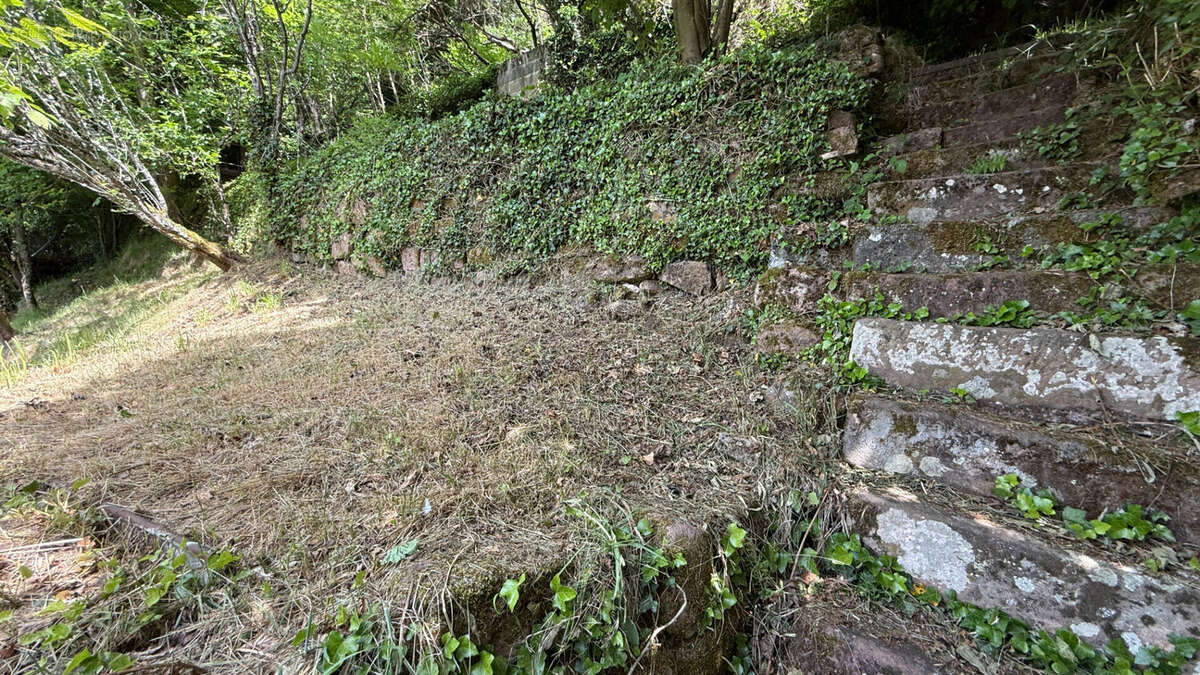 Terrain à RAON-L&#039;ETAPE