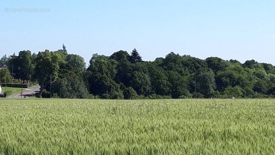 Terrain à BOULLAY-LES-TROUX