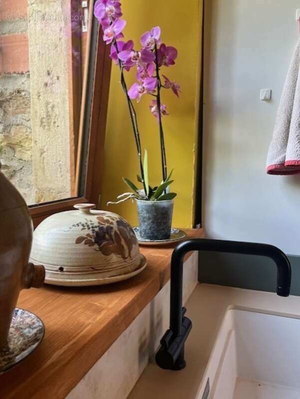 PLAISANCE (32): SANS TRAVAUX, MAISON XVIIIs restaurée avec élégance SUR 240M2 habitables, 6600m2 de jardin,géothermie,  puits, g - photo 30
