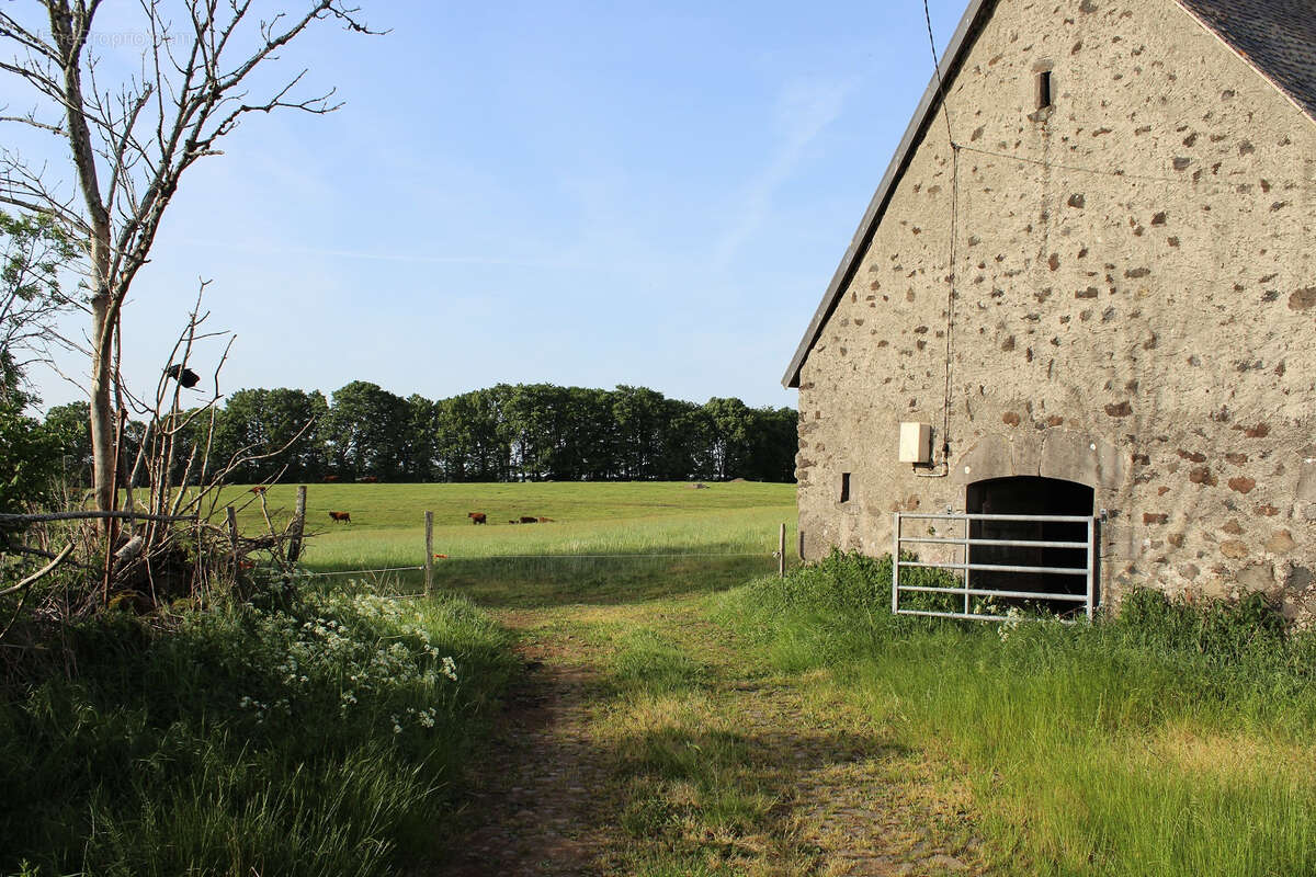 Maison à ANGLARDS-DE-SALERS