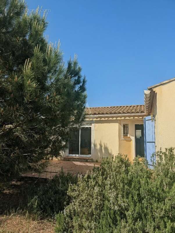 Maison à MOUSSAN