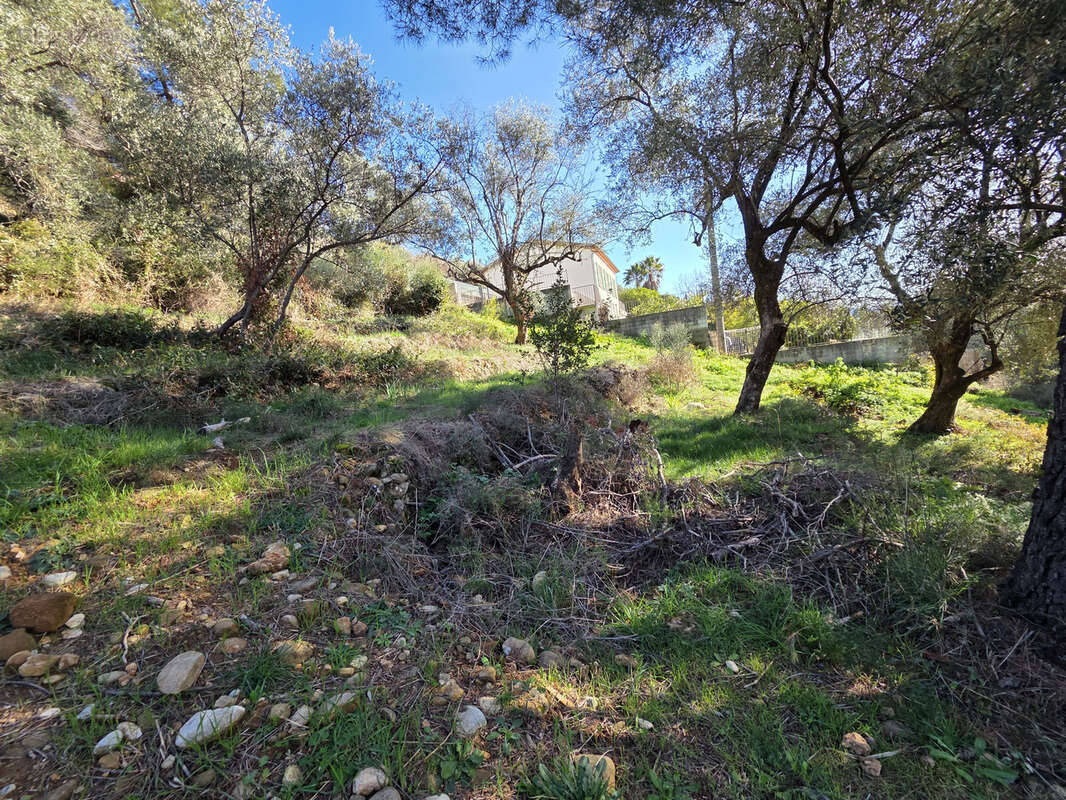 Terrain à SAINT-MARTIN-DU-VAR