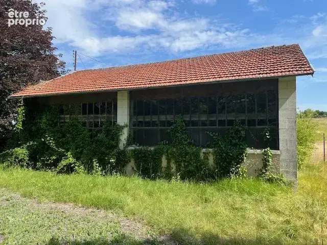 Maison 375 m² à Palluaud  - photo 9