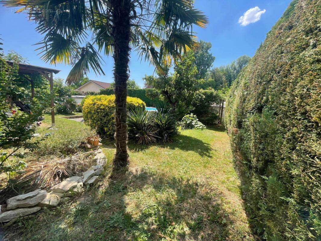 Maison à TIGNIEU-JAMEYZIEU