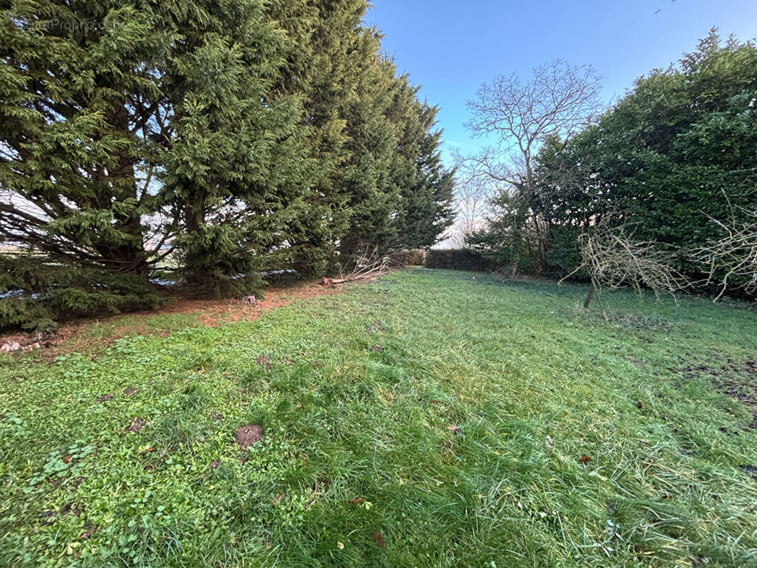 Terrain à SANNERVILLE