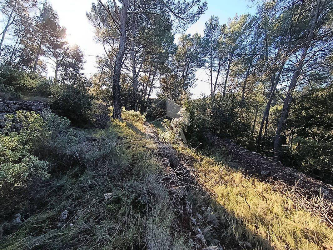 Terrain à VIDAUBAN