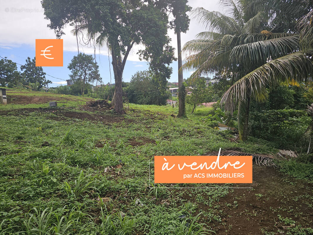 Terrain à SAINTE-MARIE