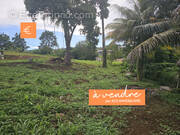 Terrain à SAINTE-MARIE