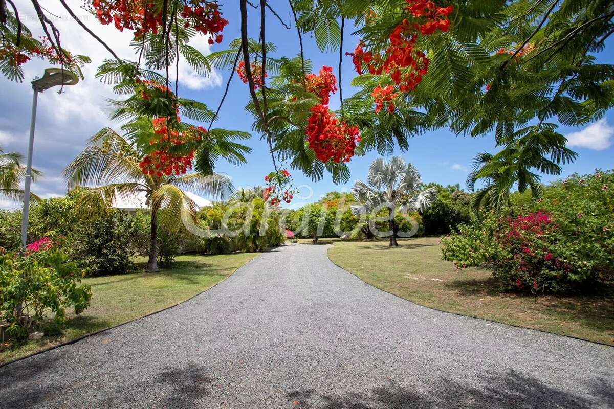 Maison à SAINT-MARTIN