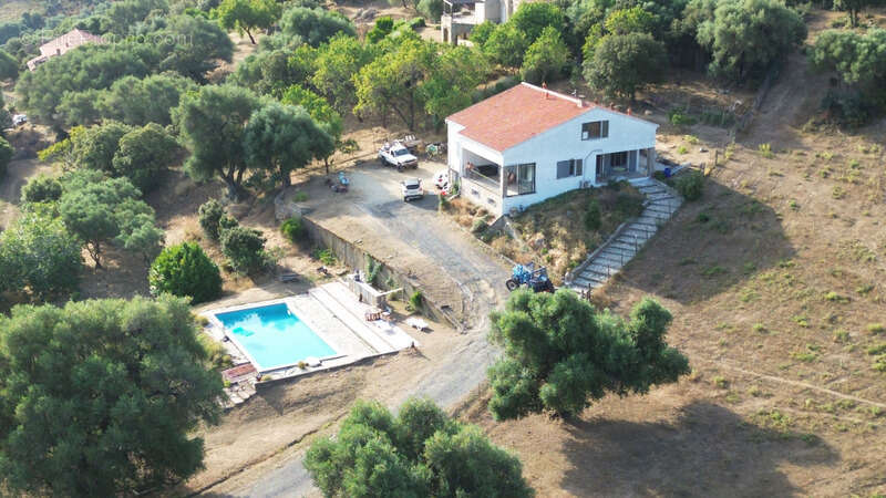 Dpt Corse (20), à vendre CASTA maison de 167m² sur 5600m² avec piscine 6X12 - photo 2