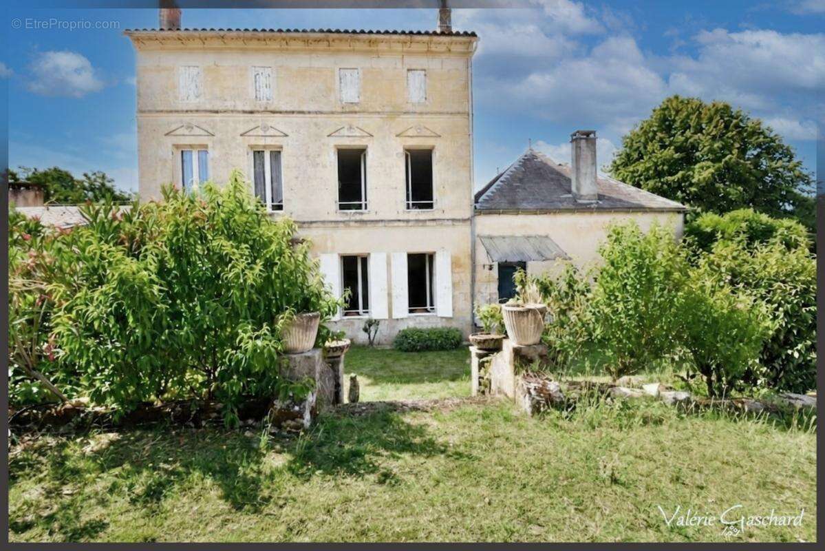 St Antoine sur l'isle  ( Gironde) - Maison en Pierre 250 m² + dépendance et piscine - photo 3