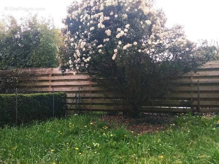 Maison à CHAMPCEVINEL