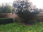 Maison à CHAMPCEVINEL