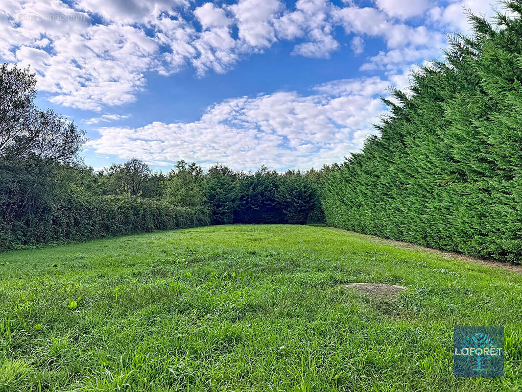 Maison à SALLERTAINE