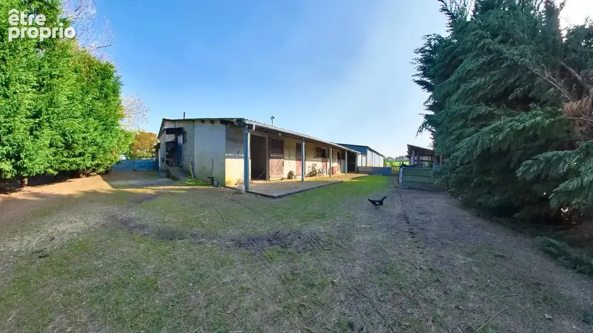 Propriété Landaise 186 m2 avec dépendances, hangars et insta - photo 22