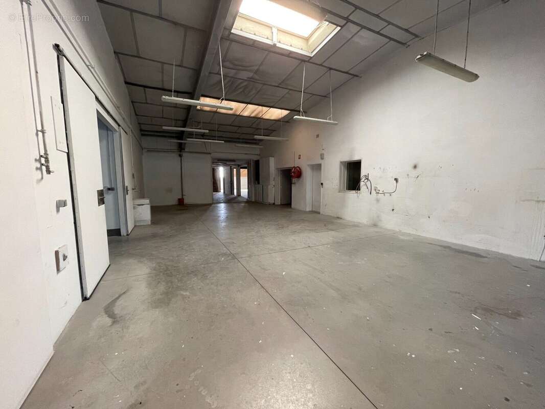 Commerce 3000 m² à Hauterives  - photo 9