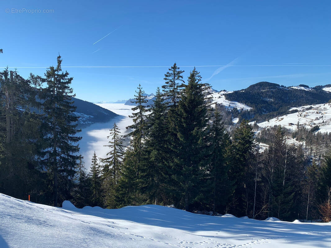 Terrain à COHENNOZ