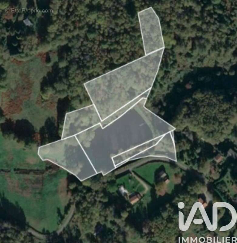 Photo 7 - Terrain à COGNAC-LA-FORET