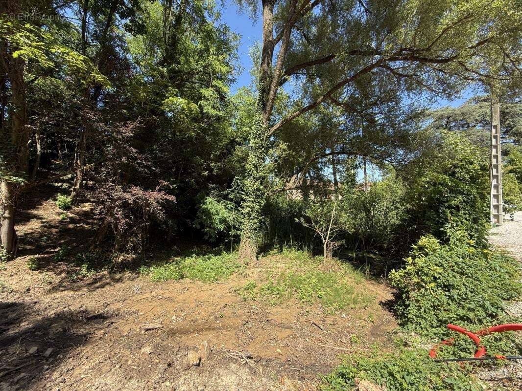 Terrain à CHAPONOST