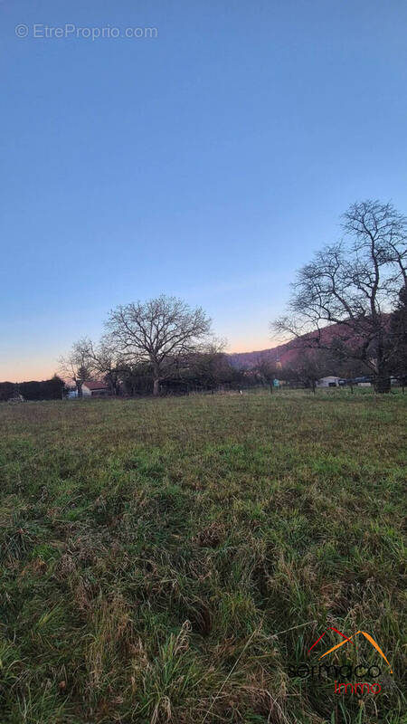 Terrain à COCHEREN