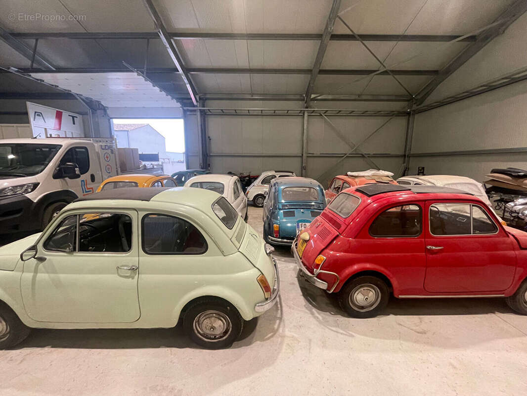 Commerce à ARGELIERS