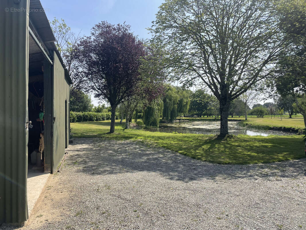 Terrain à LA GUERCHE-DE-BRETAGNE