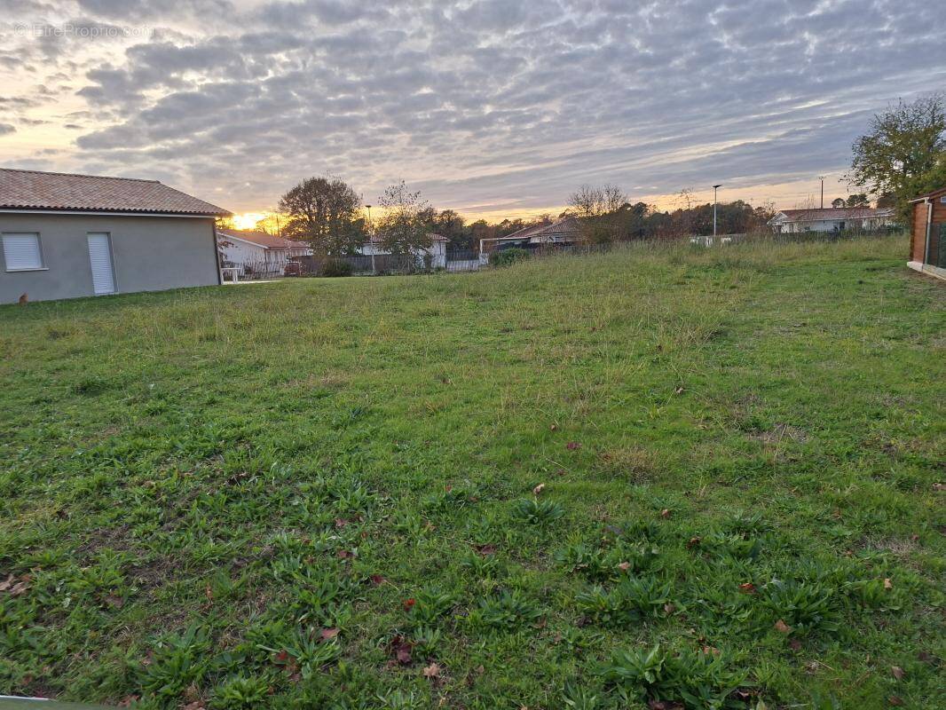 Terrain à HAUT-MAUCO