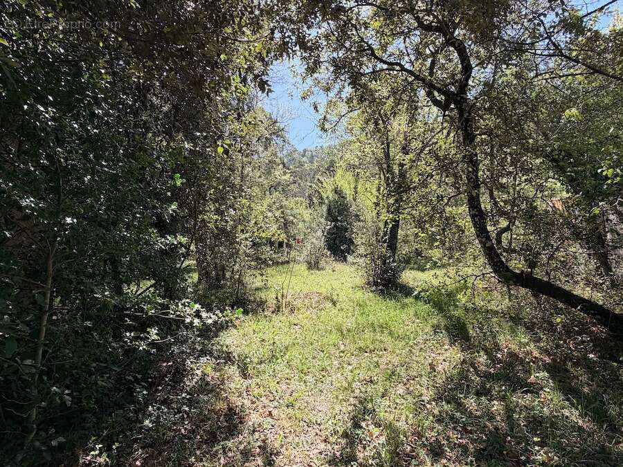 Terrain à PLAN-D'AUPS-SAINTE-BAUME