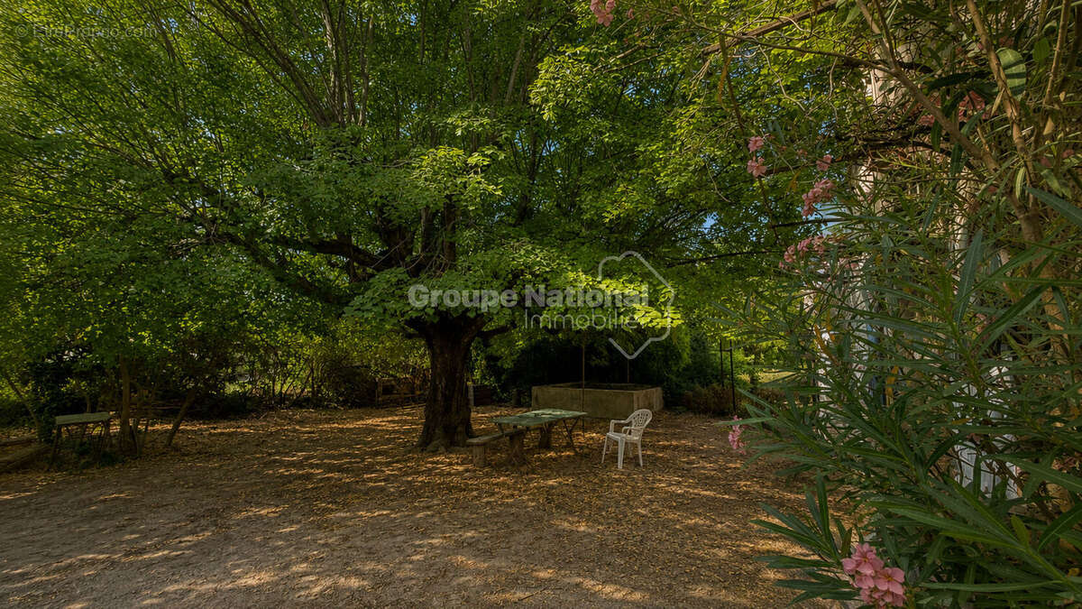 Exclusivité - Mas à restaurer - Le charme de la Provence - photo 4