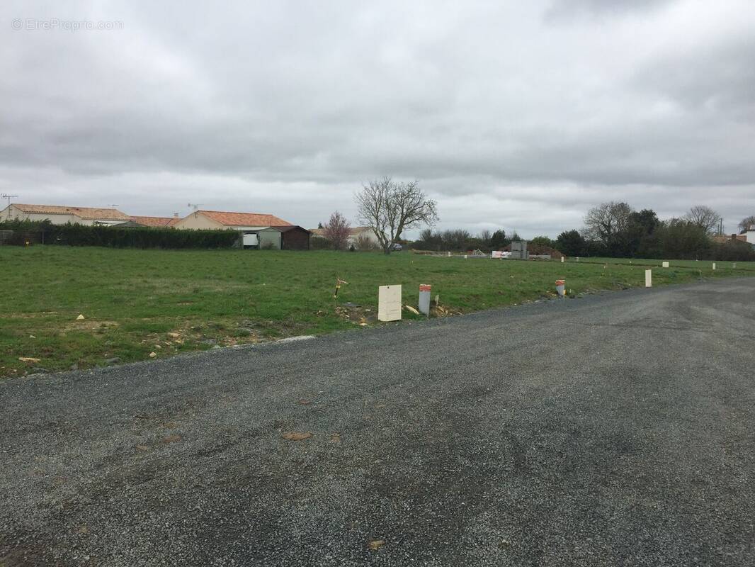 Terrain à CHAILLE-LES-MARAIS