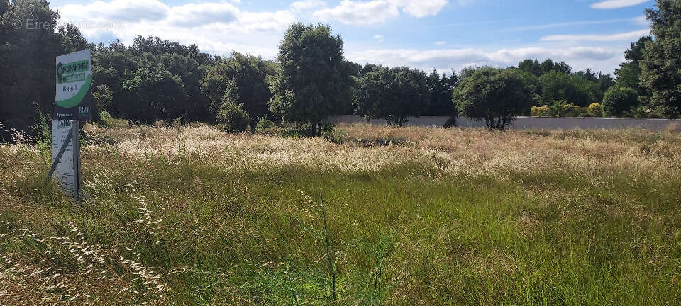 Terrain à CHATEAUNEUF-DE-GADAGNE