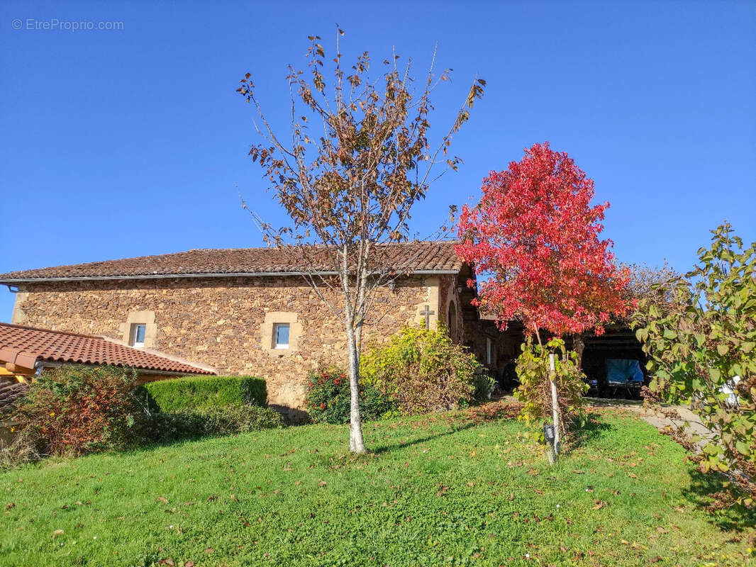 Maison Typique du ségala - photo 21