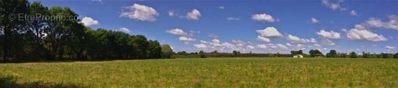 Terrain à MONT-DE-MARSAN
